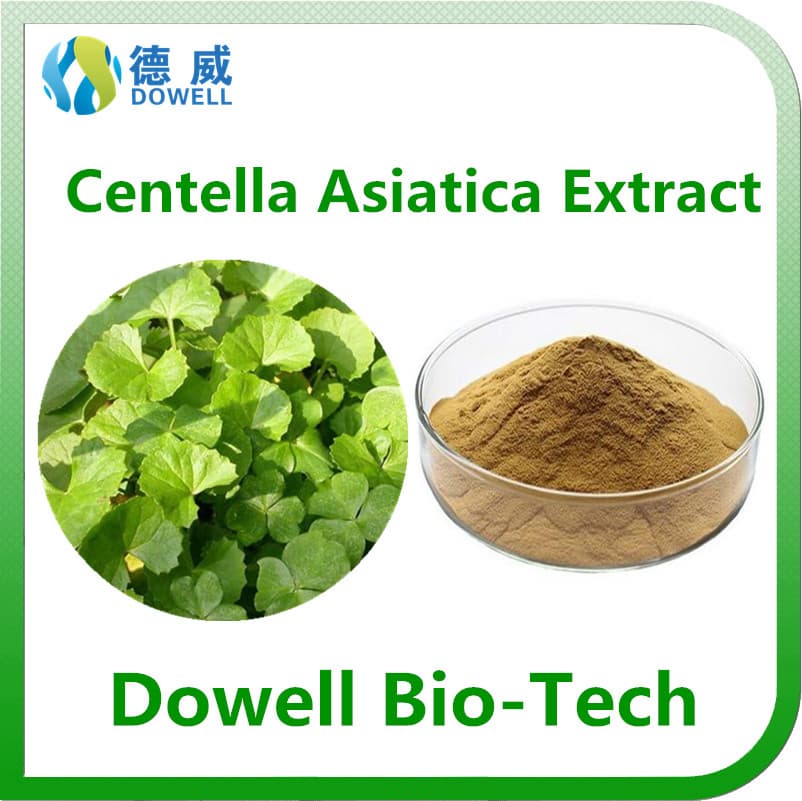 Health benefits Centella Asiatica Extract _Gotu Kola Extract powder 10_ Asiaticosides